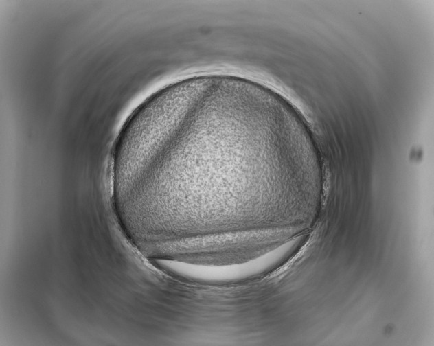 X0000099311510200805231352