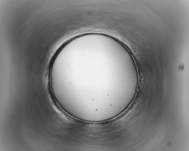 X0000099311511200805231352