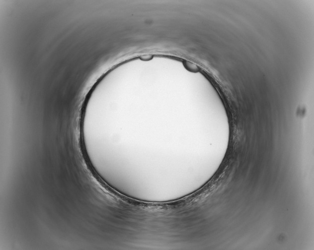 X0000099311512200805231352