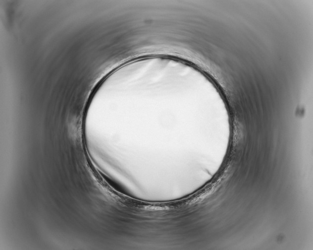 X0000099311513200805231352