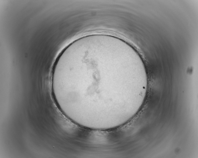 X0000099311514200805231352