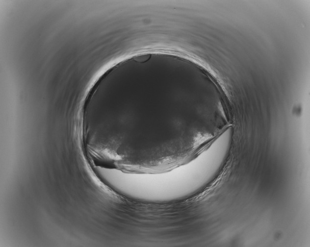 X0000099311515200805231352