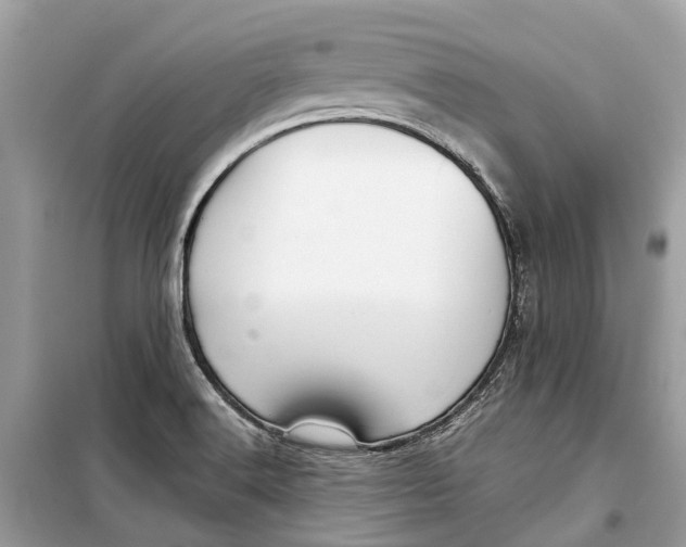 X0000099311516200805231352