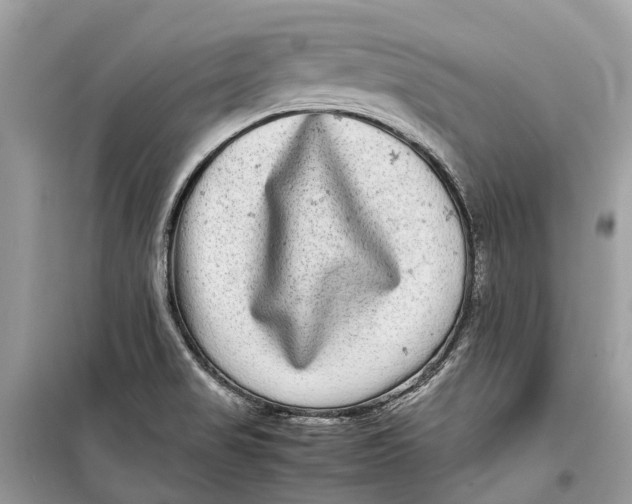 X0000099311517200805231352