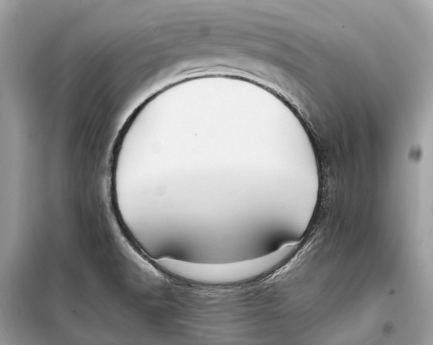 X0000099311518200805231352