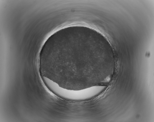 X0000099311519200805231352