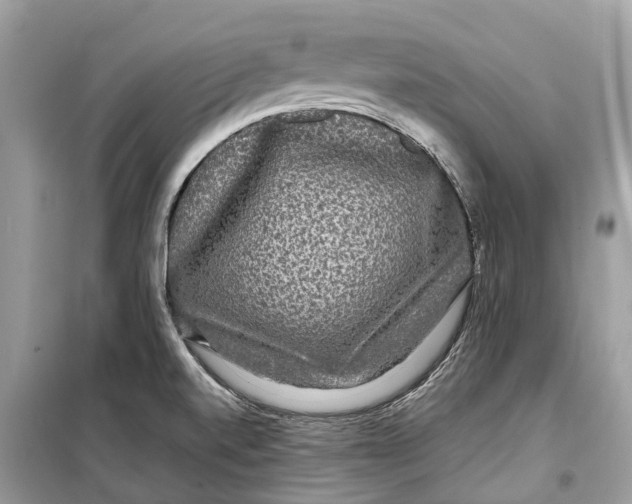 X0000099311520200805231352