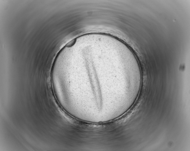 X0000099311521200805231352