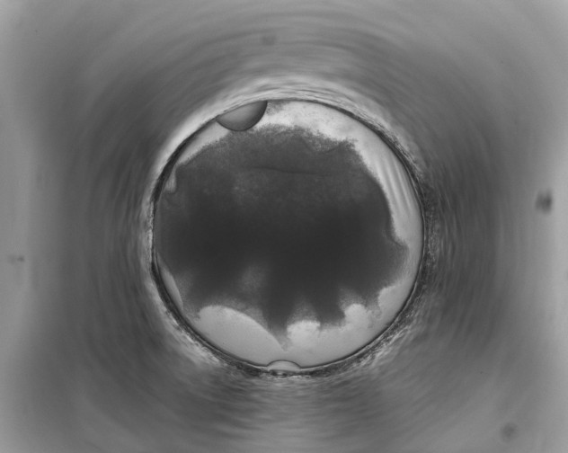 X0000099311522200805231352