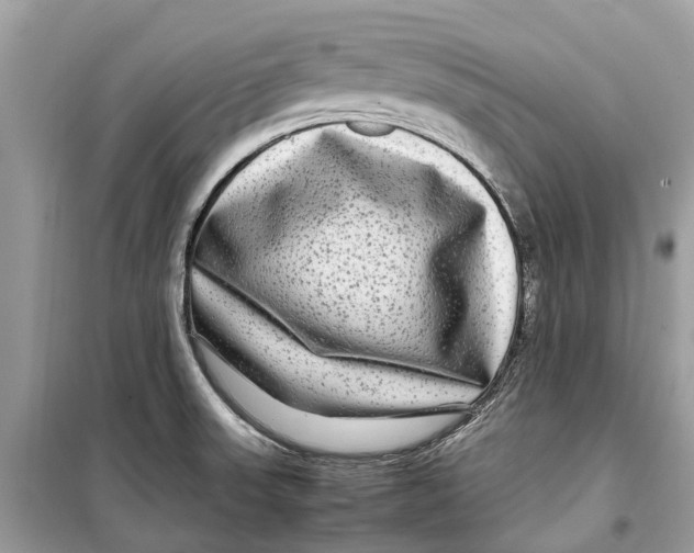 X0000099311523200805231352