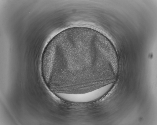 X0000099311525200805231352