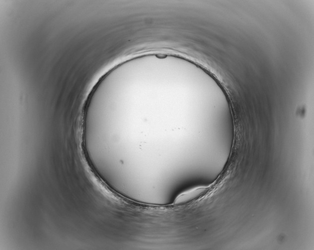 X0000099311526200805231352