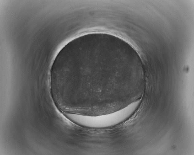 X0000099311527200805231352