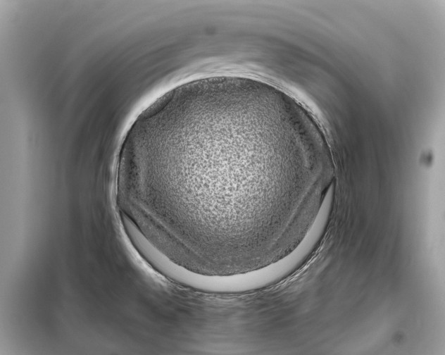 X0000099311528200805231352