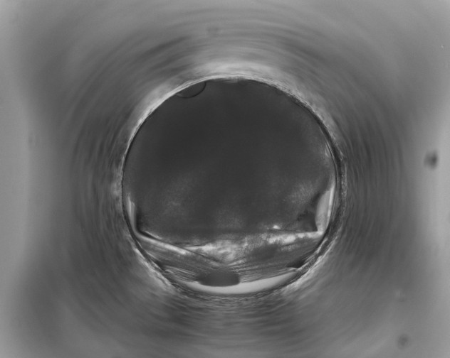 X0000099311529200805231352