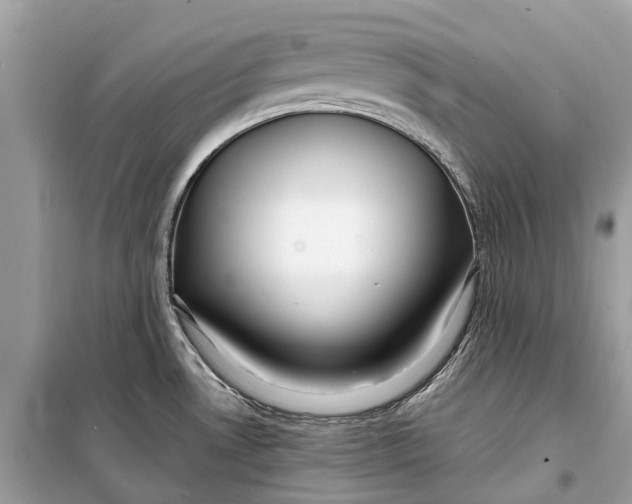 X0000099311530200805231352