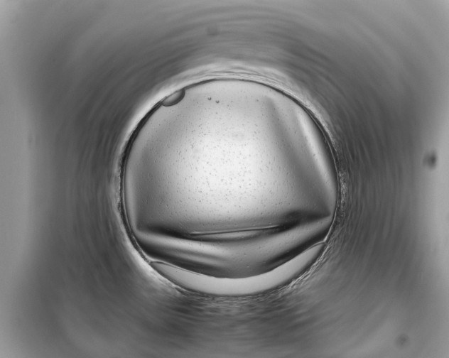 X0000099311531200805231352