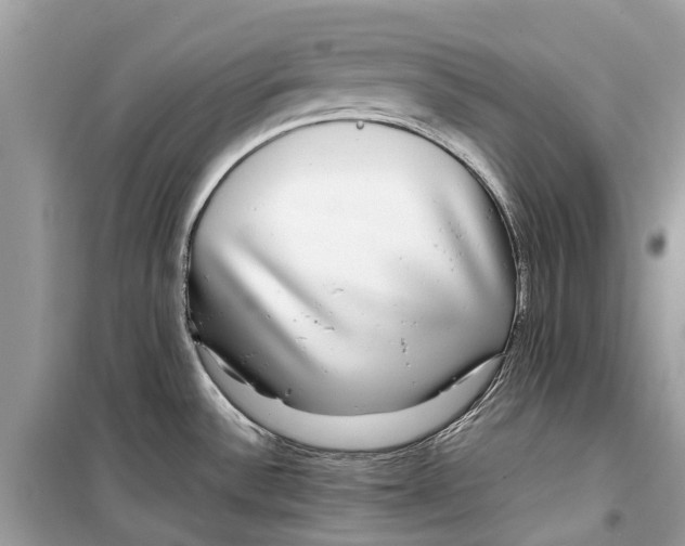 X0000099311532200805231352