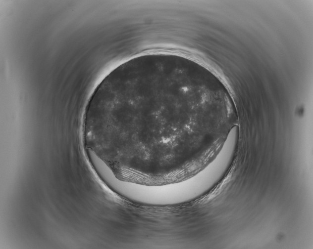 X0000099311533200805231352