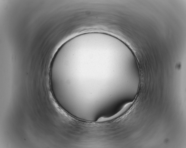 X0000099311534200805231352