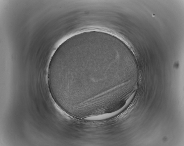 X0000099311535200805231352