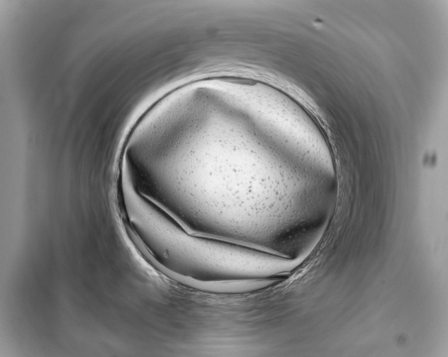 X0000099311536200805231352