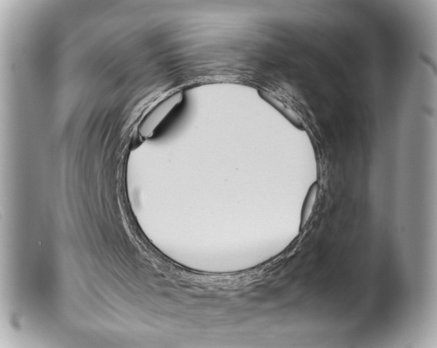 X0000099310001200805301204