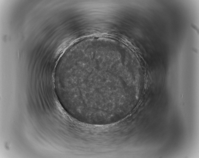 X0000099310002200805301204