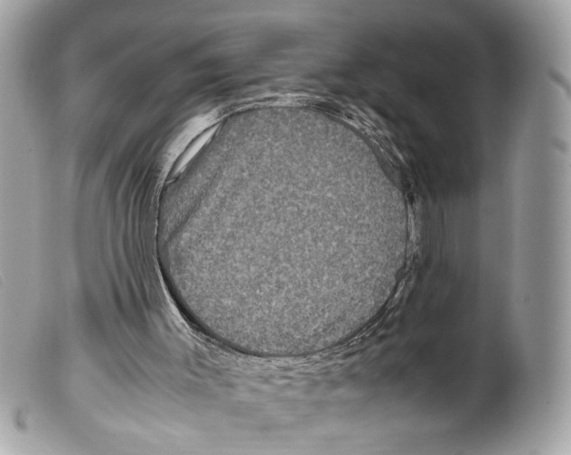 X0000099310003200805301204