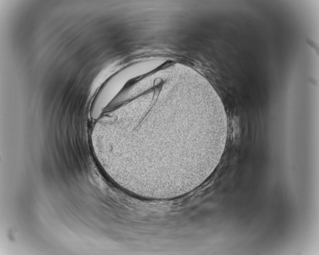 X0000099310004200805301204