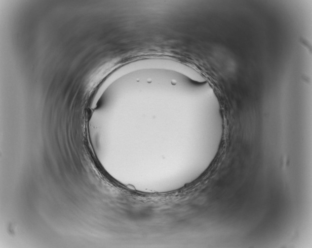 X0000099310005200805301204
