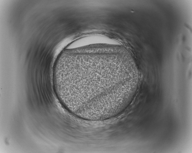X0000099310006200805301204