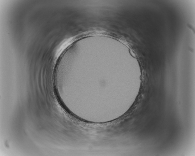 X0000099310007200805301204