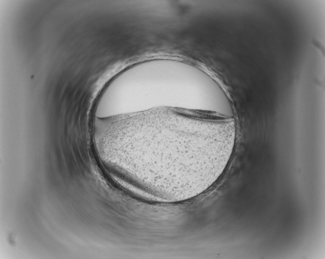 X0000099310008200805301204