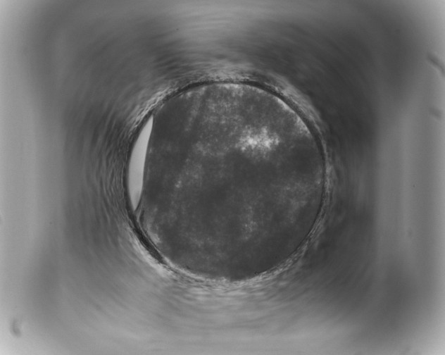 X0000099310009200805301204