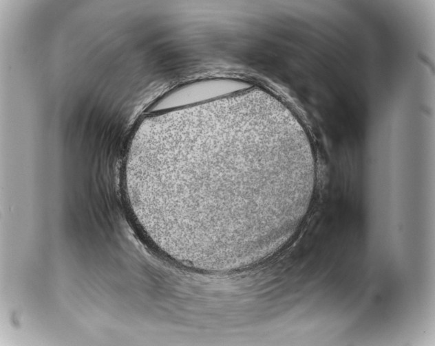 X0000099310010200805301204
