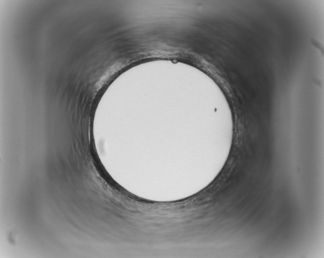 X0000099310011200805301204