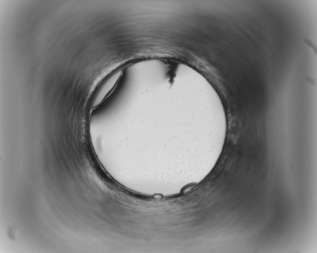 X0000099310012200805301204