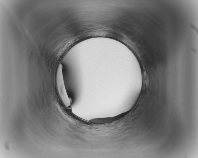 X0000099310013200805301204