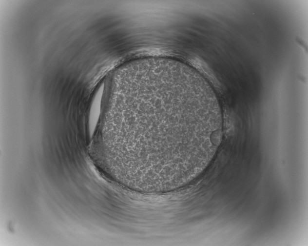 X0000099310014200805301204