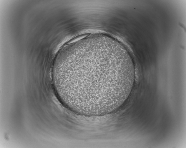 X0000099310015200805301204