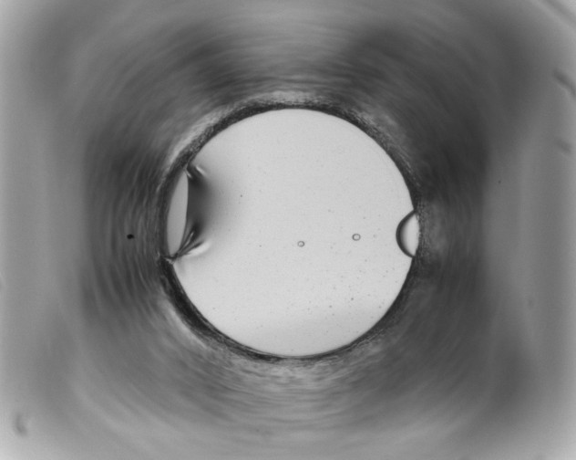 X0000099310016200805301204