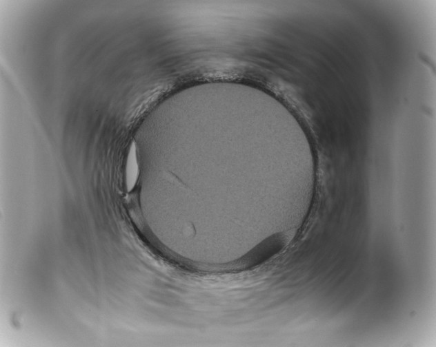 X0000099310017200805301204