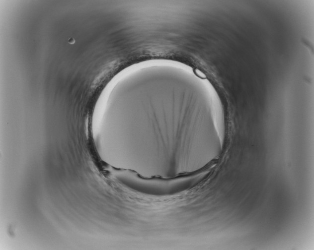 X0000099310019200805301204