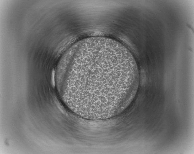 X0000099310022200805301204