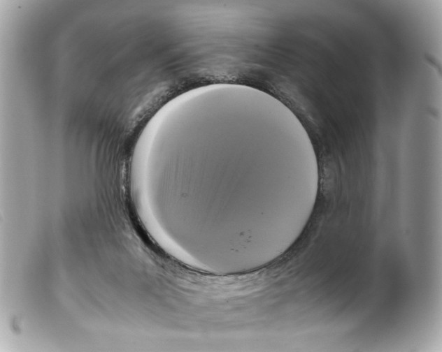 X0000099310023200805301204