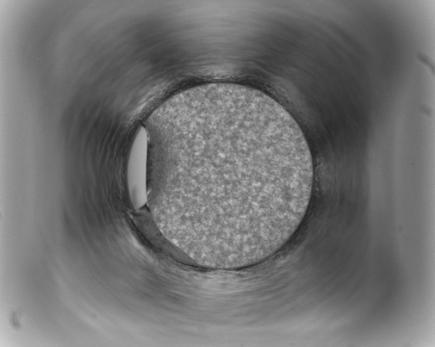 X0000099310024200805301204