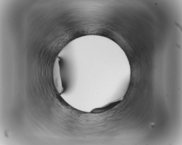 X0000099310025200805301204