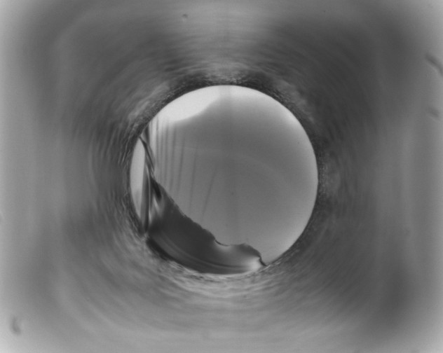 X0000099310027200805301204