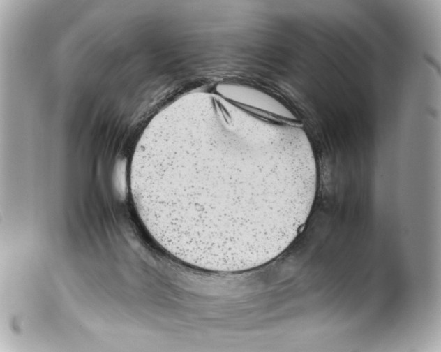 X0000099310028200805301204